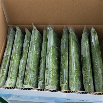 SHANDONG ποικιλία Hiyashi Wakame Παγωμένη κατεψυγμένη σαλάτα φυκιών -18 βαθμούς Κελσίου