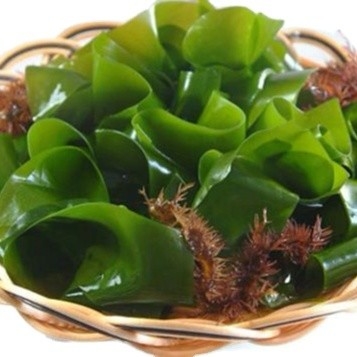 Τύπος αποθήκευσης Φυσιολογικό 500g Chuka Wakame Στερεωμένο φύκινο θάλασσας Cut Wakame