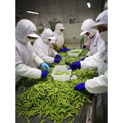 Παγωμένα χύδης φασόλια edamame Τύπος αποθήκευσης Παγωμένα 10kg βάρος